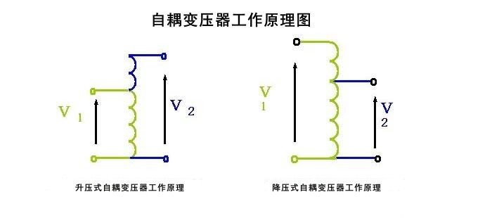 2025年新澳门精准免费大全