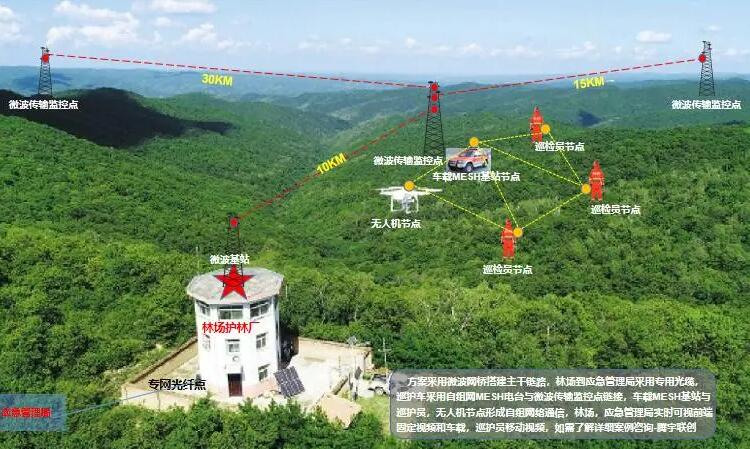 2025年新澳门精准免费大全